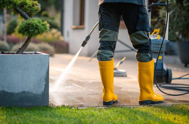 Best Pressure Washing Company Near Me  in Tome, NM